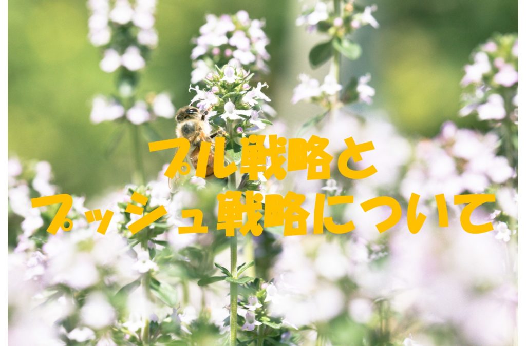 プル戦略とプッシュ戦略について